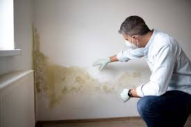 Mold Documentation for Insurance Claims in Southaven, MS